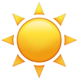 sole
